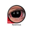 LENTI RAVENOUS 17MM -Negozio Di Trucchi Per Effetti Speciali 800x800 max5b9 lenti ravenous 17mm
